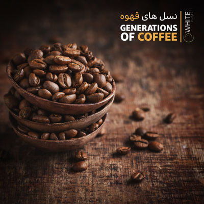 روند تکامل دم آوری قهوه